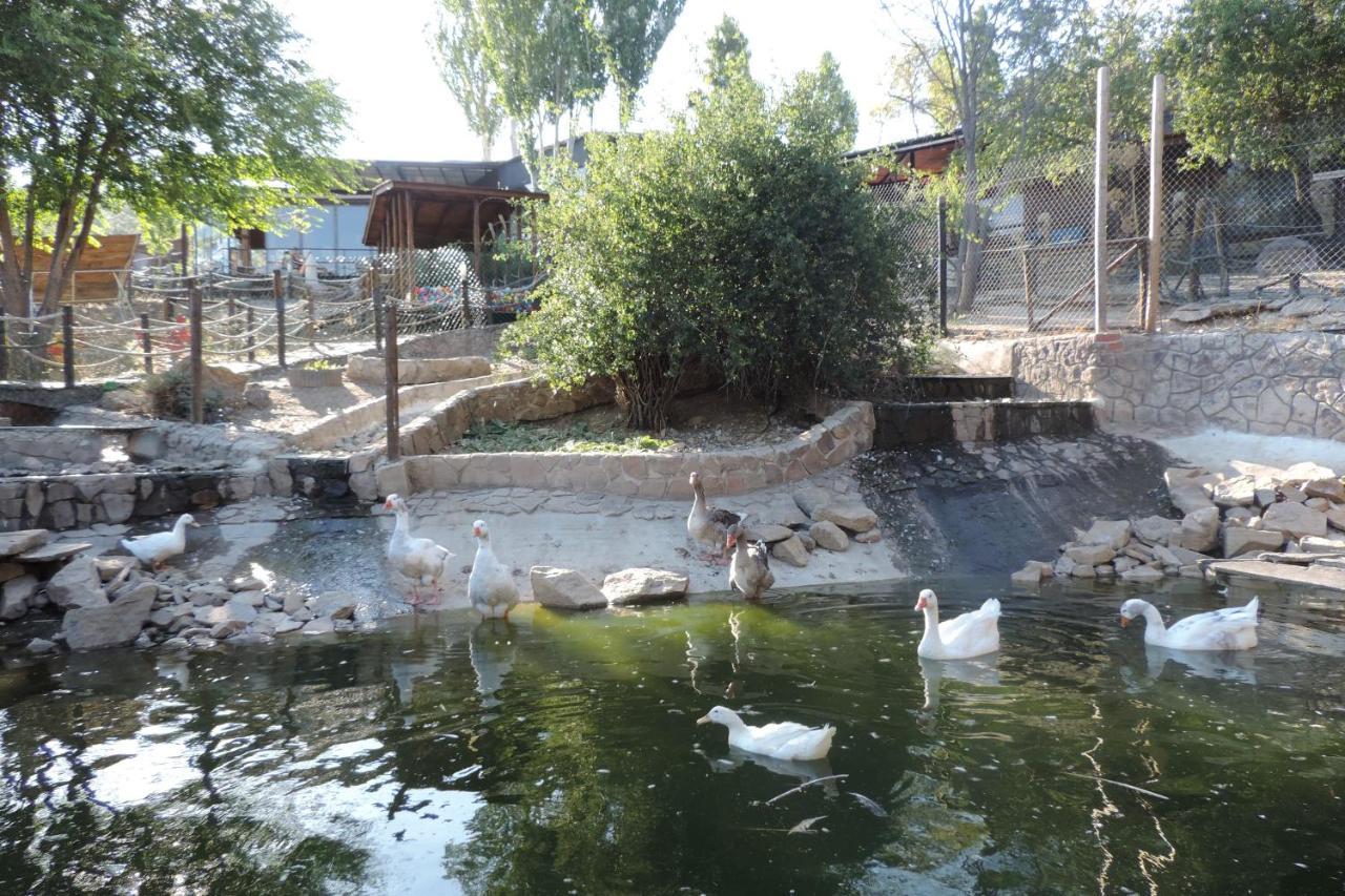Posada Rural Spa Granja La Tejera De Lozoya Гаргантия дел Лосоя Екстериор снимка